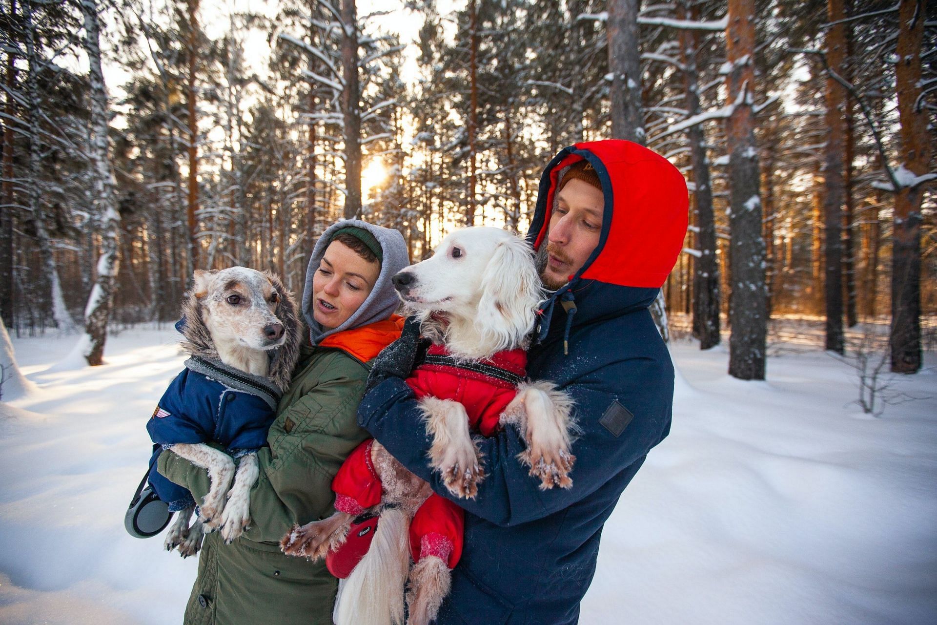 Pets form basis for social connection as well. (Photo via Pexels/Anna Galimova)